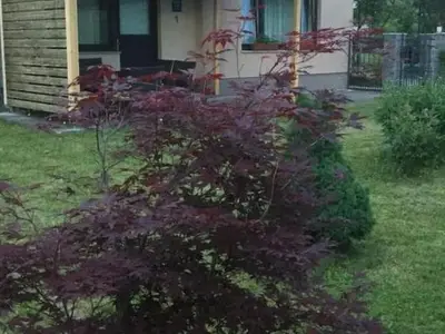 Ferienwohnung für 3 Personen in Karlovac 8/10