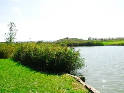 Bild 9