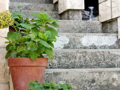 Ferienwohnung für 6 Personen in Korčula 8/10