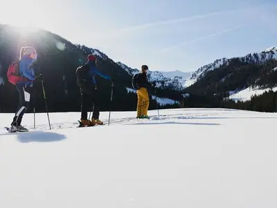 Ferienwohnung für 4 Personen (53 m²) in Sölk 3/10