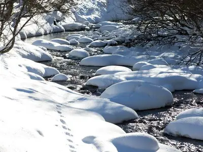 Ferienwohnung für 4 Personen (53 m²) in Sölk 9/10