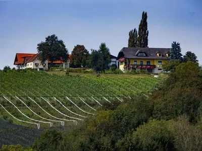 Ferienwohnung für 4 Personen (65 m²) in Markt Hartmannsdorf 2/10