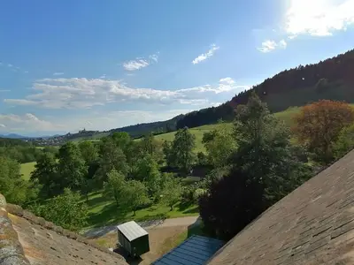 Ferienwohnung für 4 Personen (55 m²) in Guttaring 6/10