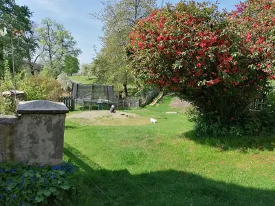 Ferienwohnung für 4 Personen (55 m²) in Guttaring 7/10