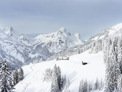 ViewWinter