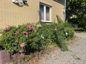 23847047-Ferienwohnung-4--300x225-4