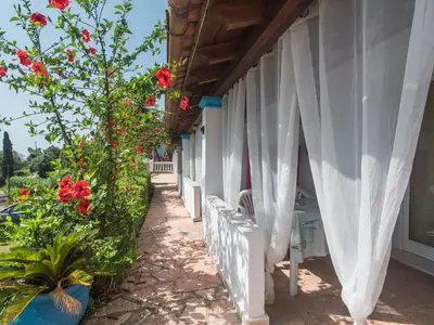 TerraceBalcony