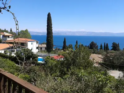ViewSummer