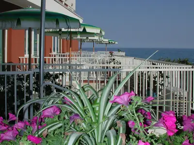 ViewSummer