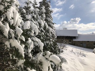 Aussicht aus der Küche im Winter