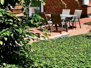 Ferienwohnung für 4 Personen (75 m²) in Thülsfeld