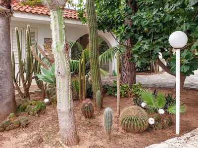 outside outside