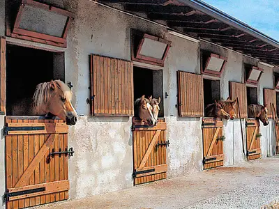 Ferienwohnung für 4 Personen (45 m²) in Voltino 2/10