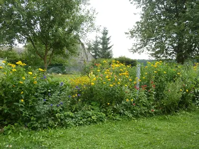 Garten
