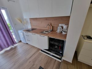 23484285-Ferienwohnung-2--300x225-3