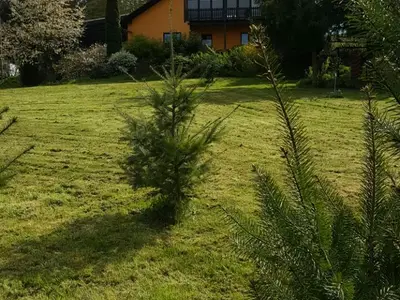 Ferienwohnung für 5 Personen (60 m²) in Förtha 2/10