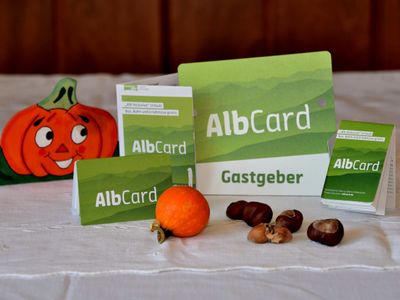 Mit der AlbCard geniesen Sie kostenlosen Eintritt bei teilnehmenden Touristikunternehmen z.B. Schloß Sigaringen, Campus Galli