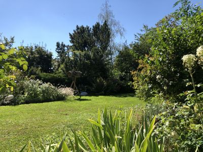 Gartenblick nach Westen - Sommer 2020