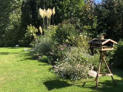 Gartenblick nach Südosten - Sommer 2020