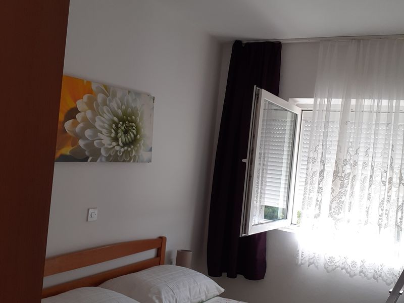 23936246-Ferienwohnung-4--800x600-2