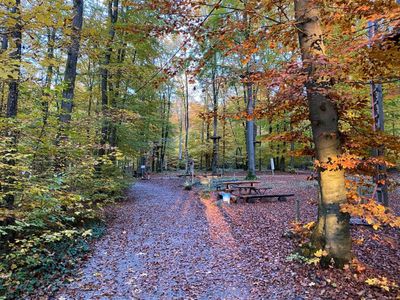 Waldspielplatz