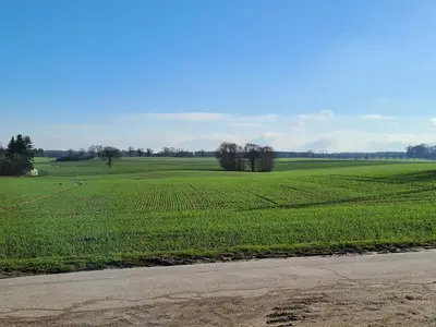 Blick aus dem Fenster