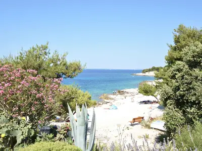 Ferienwohnung für 6 Personen (70 m²) in Primošten 8/10