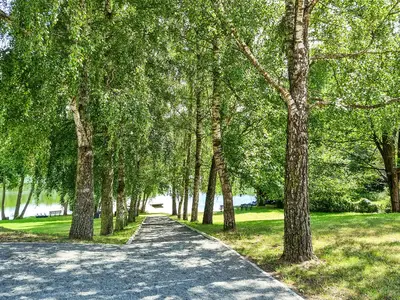 outside