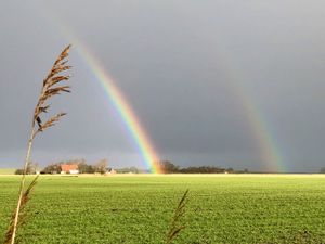 24008898-Ferienwohnung-2--300x225-3