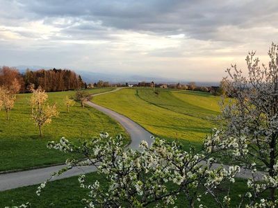 Ausblick