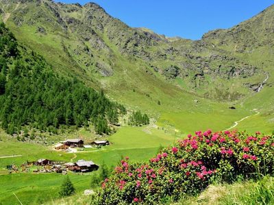 Das Wandergebiet Gitschberg - Jochtal