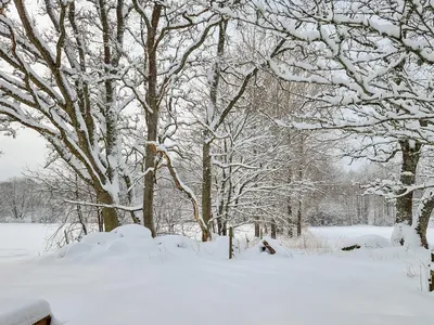 outside
