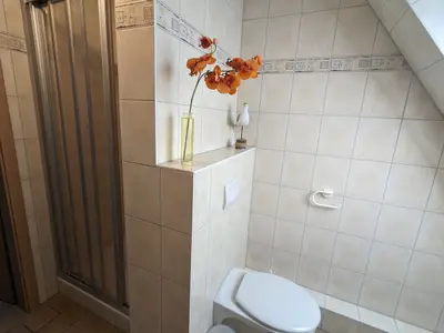 Ferienwohnung für 2 Personen (32 m²) in Wieck am Darß 9/10