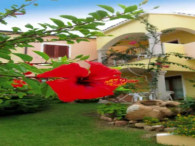 GardenSummer
