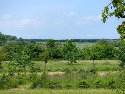 Gartenblick