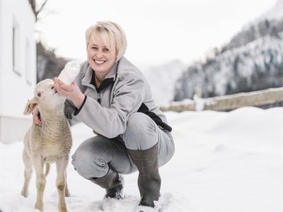 Bauernhofleben im Winter