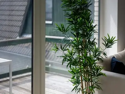 Ferienwohnung für 4 Personen (102 m²) in Breege 2/10