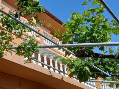 Ferienwohnung für 6 Personen (90 m²) in Arbe 9/10