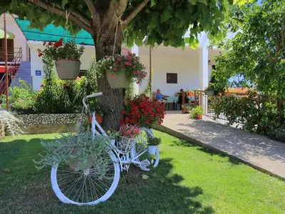 Ferienwohnung für 5 Personen in Blato (Zivogosce) 6/10
