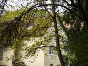 24044802-Ferienwohnung-7--300x225-2