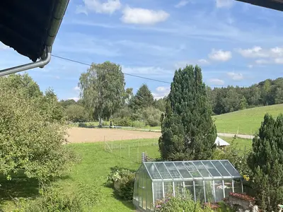 Haus