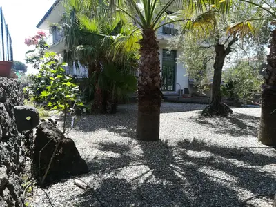 Bild 7