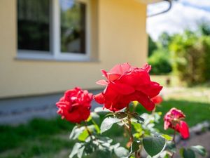 24052964-Ferienwohnung-6--300x225-1