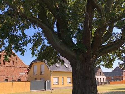 Ferienwohnung für 6 Personen (63 m²) 4/10