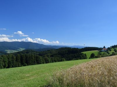 Blick vom Schillingerberg ins Elztal