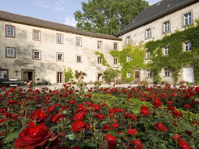 Rosengarten im Schlosshof