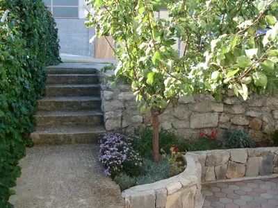 house