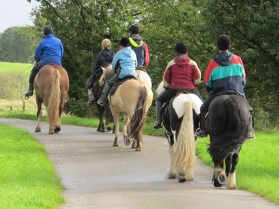 Ausritte in Feld, Wald und Flur vom Ferienhof Osterbunsbuell