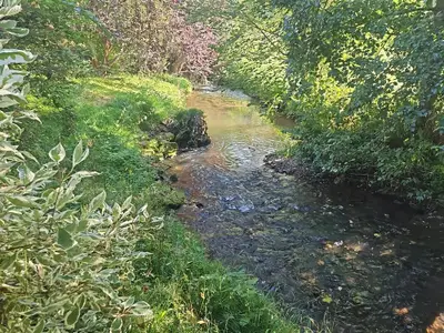 Bach am Grundstück