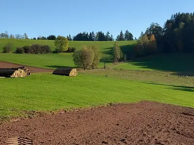 Ferienwohnung für 5 Personen (80 m²) in Poppenhausen 6/10